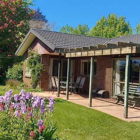 Dewdrop Cottage Hastings Exteriör bild